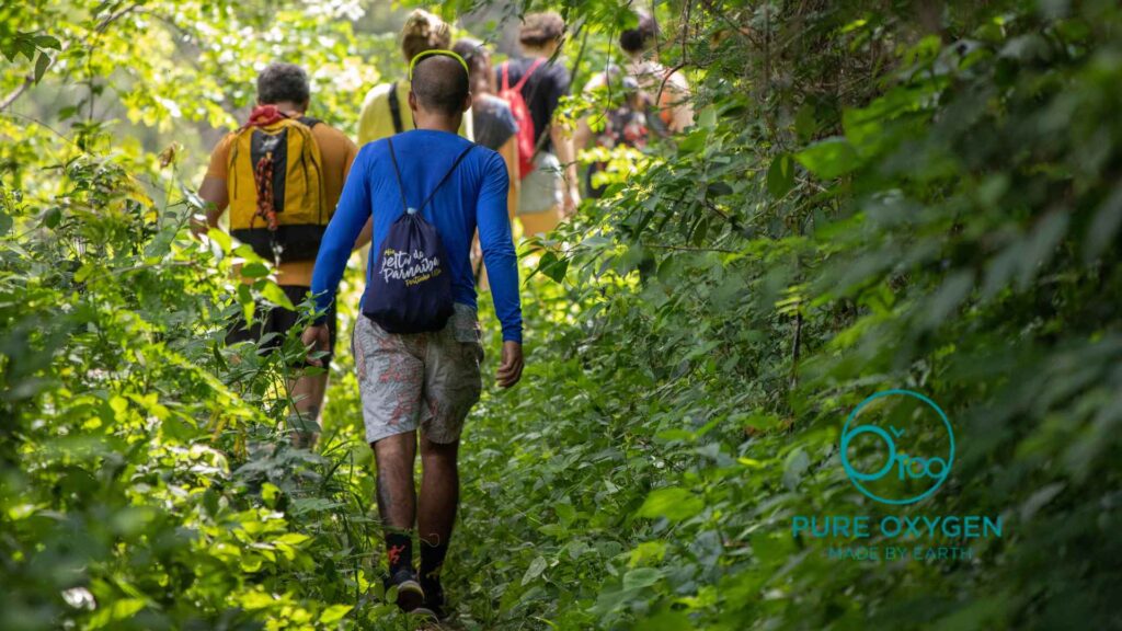 Mint or Lemon during hike